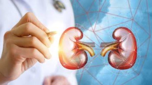 كيف تحافظ على صحة الكلى؟ 10 عادات تقلل خطر الإصابة بالأمراض